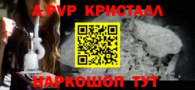 крисы Нальчик