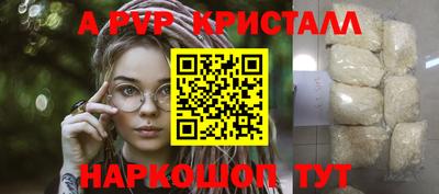 крисы Нальчик