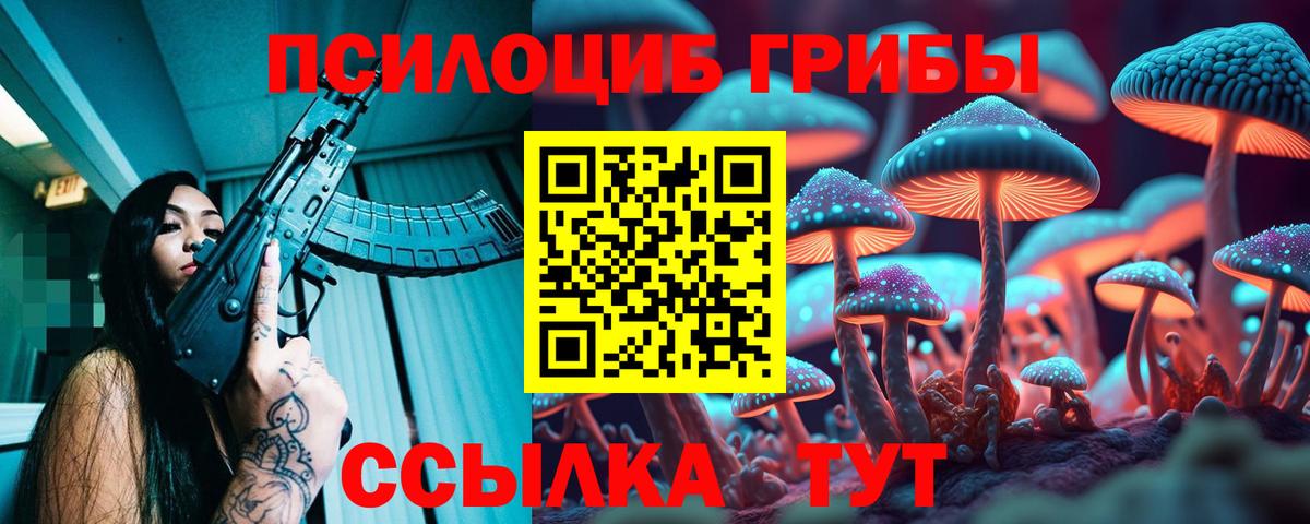 Галлюциногенные грибы прущие грибы Хабаровск