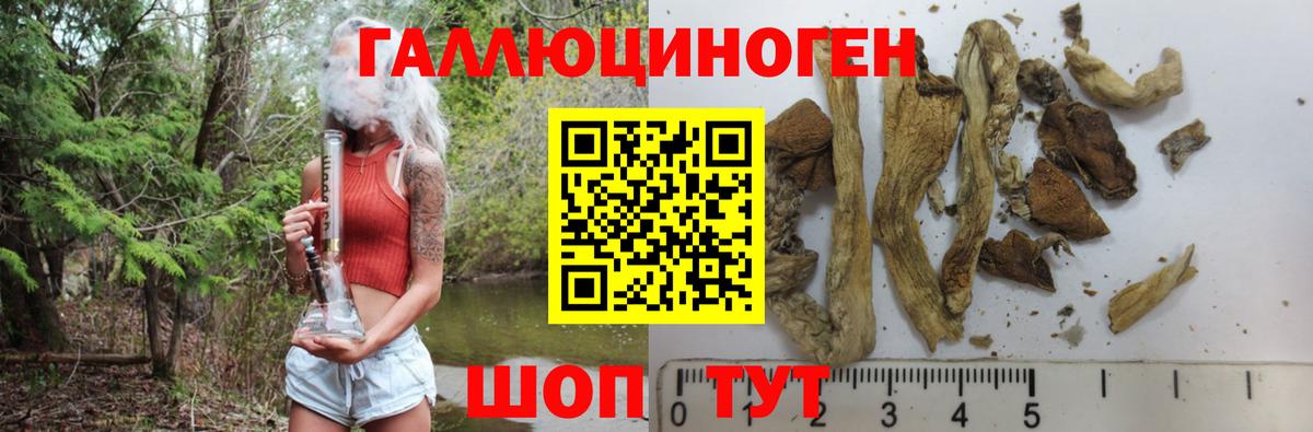 Галлюциногенные грибы GOLDEN TEACHER  Вход с VPN  Хабаровск 